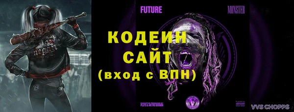 крисы Каменногорск