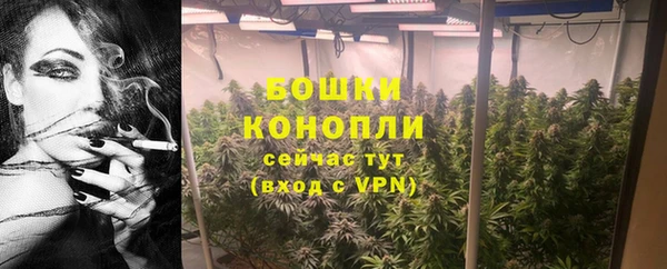 крисы Каменногорск