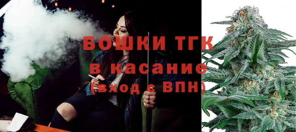 крисы Каменногорск