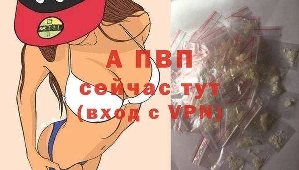 крисы Каменногорск