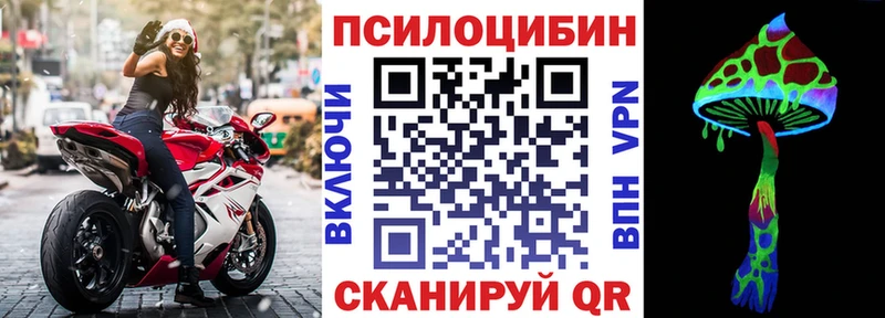 Купить закладки  Видное  Галлюциногенные грибы MAGIC MUSHROOMS 